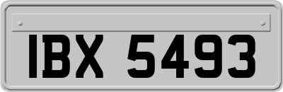IBX5493