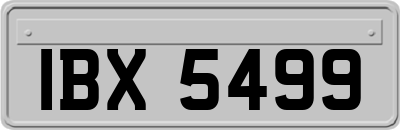IBX5499