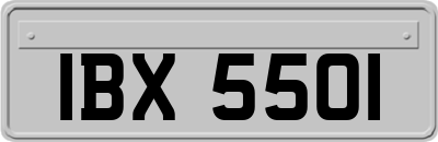 IBX5501