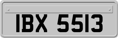 IBX5513