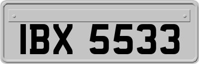 IBX5533