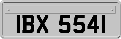IBX5541