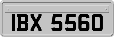 IBX5560