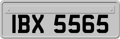 IBX5565