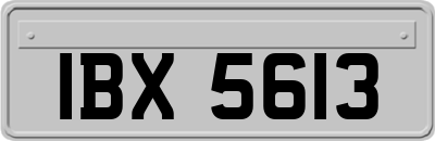 IBX5613