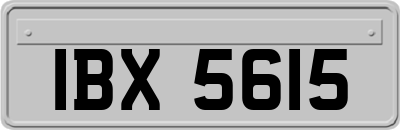 IBX5615