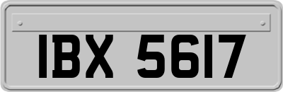 IBX5617