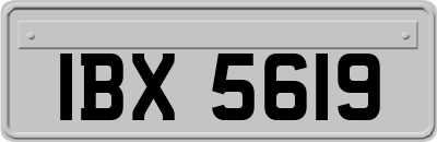 IBX5619