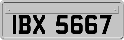 IBX5667