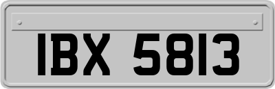 IBX5813