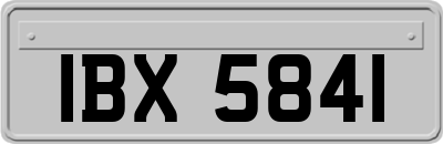 IBX5841