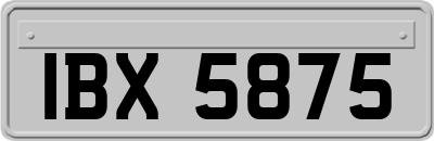 IBX5875