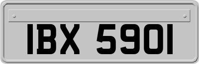 IBX5901