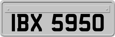 IBX5950