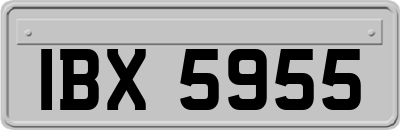 IBX5955