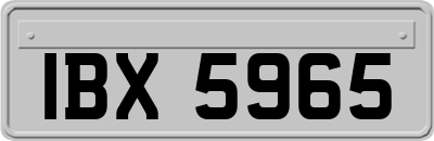 IBX5965
