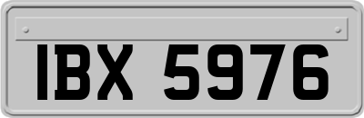 IBX5976