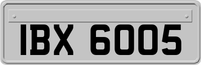 IBX6005