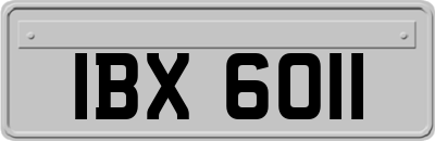 IBX6011