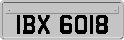 IBX6018