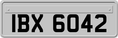 IBX6042