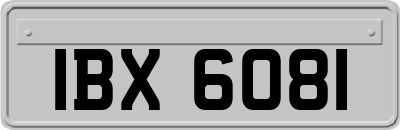 IBX6081