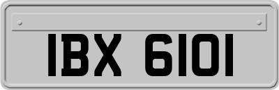 IBX6101