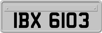 IBX6103
