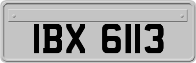 IBX6113