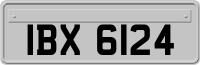 IBX6124