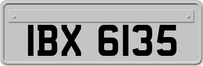 IBX6135