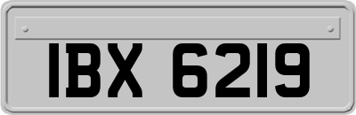IBX6219