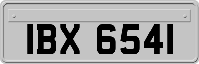 IBX6541