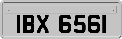 IBX6561