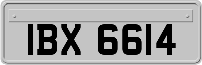 IBX6614