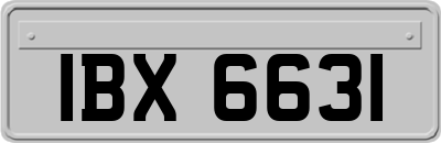 IBX6631