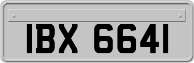 IBX6641