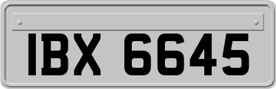 IBX6645