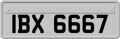 IBX6667