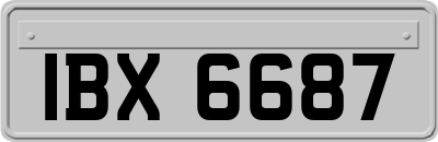 IBX6687