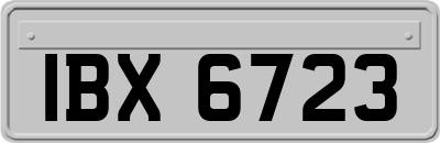 IBX6723