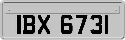 IBX6731