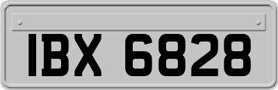 IBX6828