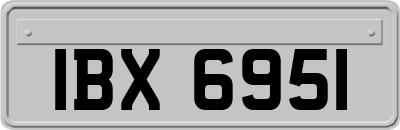 IBX6951