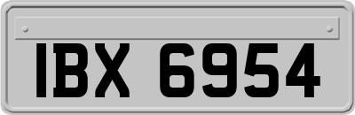 IBX6954