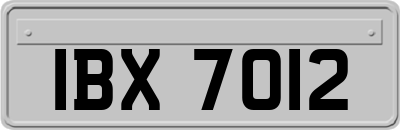 IBX7012