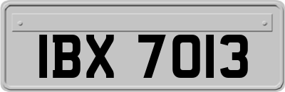 IBX7013