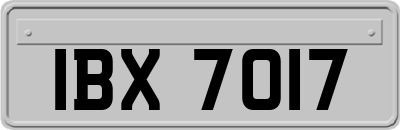 IBX7017