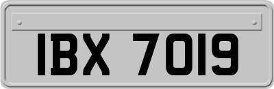 IBX7019