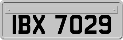 IBX7029